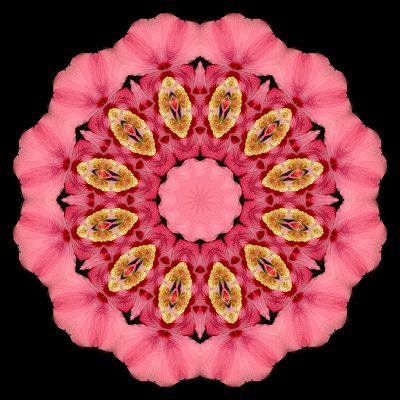 Evolved kaleidoscopic picure created with a flower seen in Locarno in September