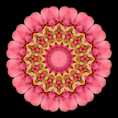 Evolved kaleidoscopic picure created with a flower seen in Locarno in September