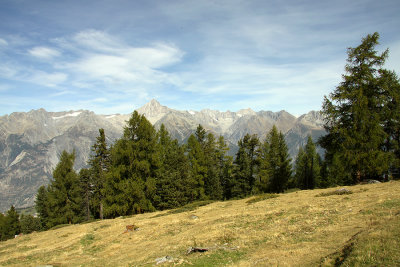 Hiking across the sloping meadows at 2100 meters above sea level