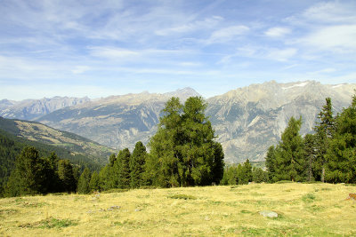 Hiking across the sloping meadows at 2100 meters above sea leve