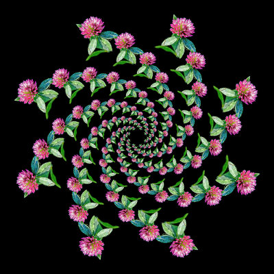 Spiral creation with a wildflower seen in October