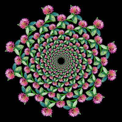 Spiral creation with a wildflower seen in October