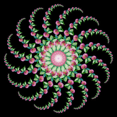 Inverted spiral design with a wildflower seen in October