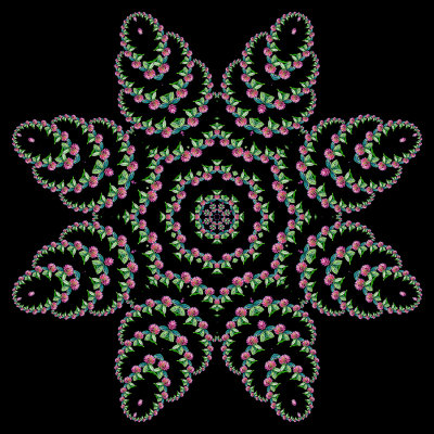 Evolved kaleidoscope created with a wildflower seen in October