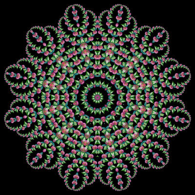 Evolved kaleidoscope created with a wildflower seen in October