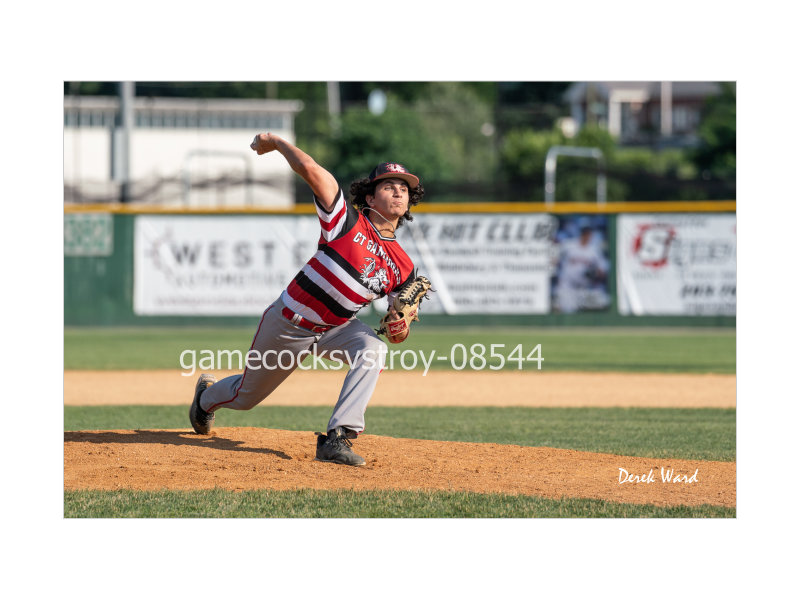 Gamecoks vs Dodgers-136.jpg