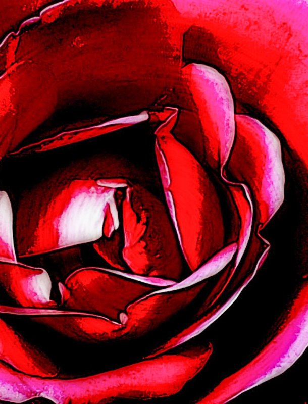 Lana Hiscock2019 CAPA Fall Fine ArtsRoses Are Red