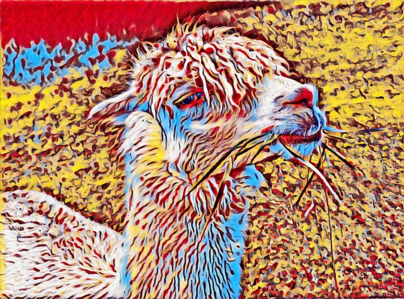 Harvey Lubin2019 CAPA Fall Fine ArtsVincent Van Llama