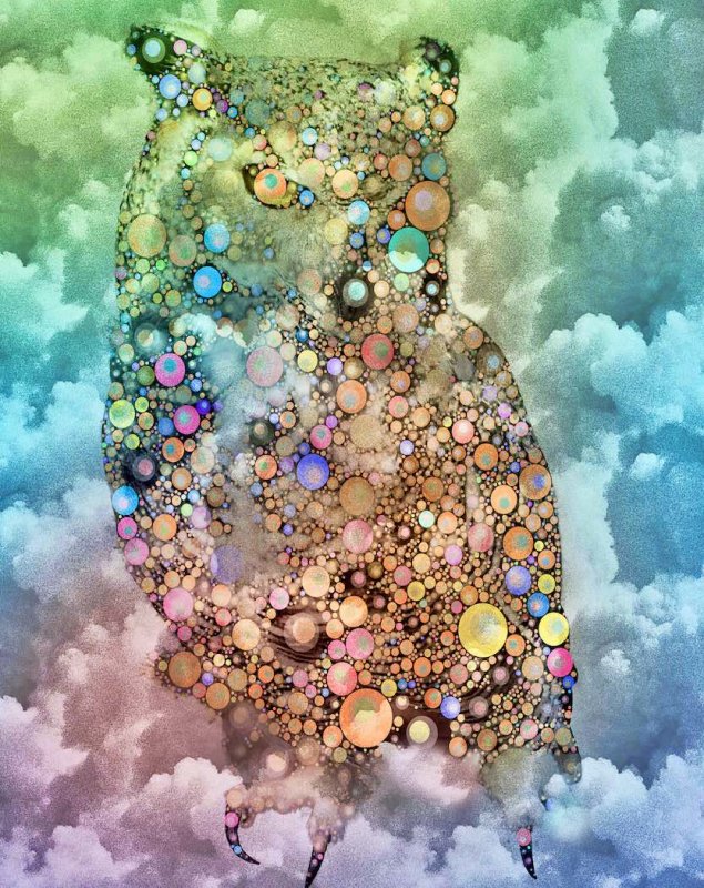 Harvey LubinOwl in the Clouds