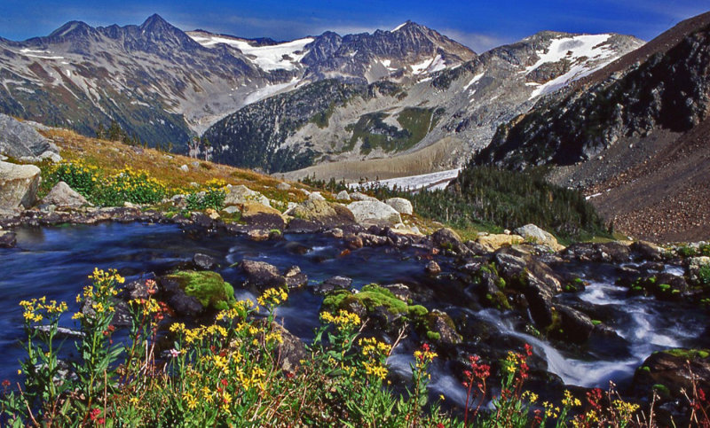 Bob Skelton2020 CAPA Canada: My CountryGaribaldi Vista 19.5 pts