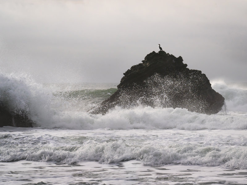 Valerie Payne2021 North Shore Photographic ChallengePrince of Waves
