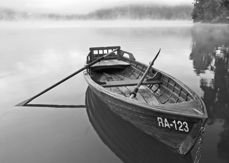 Kim Adzich2021 CAPA MonochromeMorning MistsPoints: 22.5