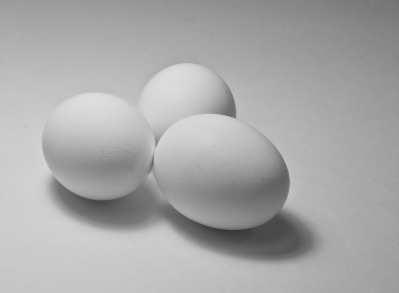 Racine Erland2021 CAPA MonochromeJust Eggs