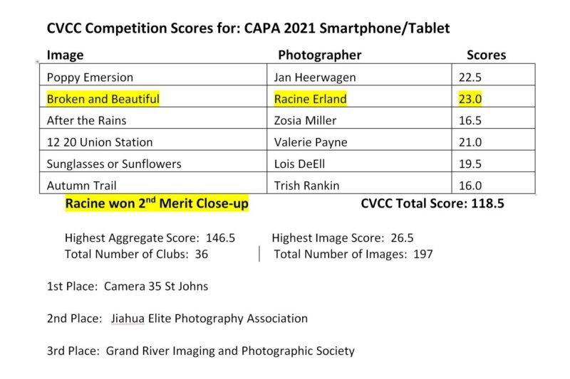 2021 CAPA Smartphone/Tablet Results