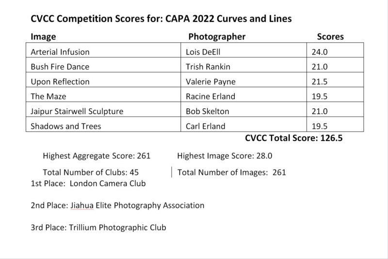 2022 CAPA Curves and Lines Competition Results