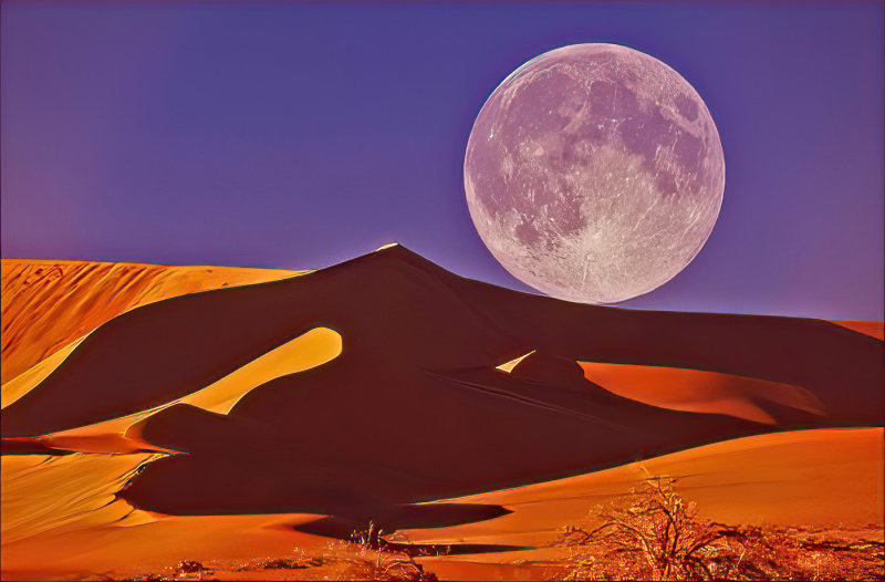 Bob Skelton2022 North Shore Photographic ChallengeBig Moon on a Big Dune