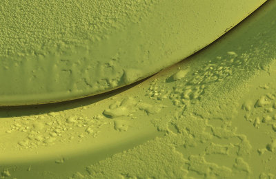 g12/54/364954/3/168876065.X0X25CEe.jpg