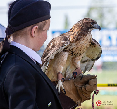 Victoria Highland Games – May 19, 2019
