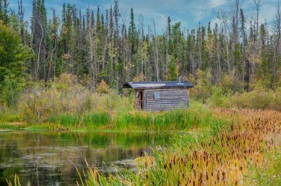 CAPA 2020 Spring Canada: My Country