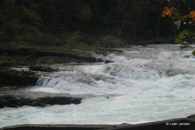g12/54/364954/3/171098080.Jcvh9Ax7.jpg