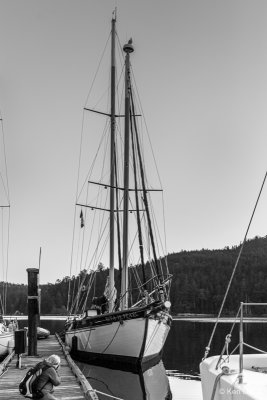 Ken DeEll<br>Cowichan Valley Marinas<br>April 2021<br>Classic Sailing