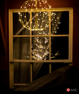 Lois DeEll<br>December 2021<br>Window Light and Reflection