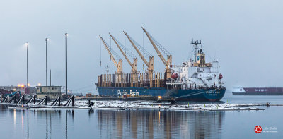 Lois DeEll<br>December 2021<br>Pacific Basin Cargo Ship
