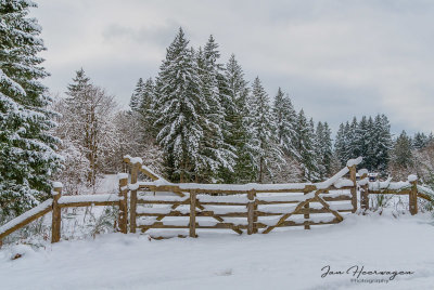 Jan Heerwagen<br>December 2021<br>Rural Snow Scene