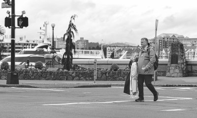 g12/54/364954/3/172391719.cyGLRjRt.jpg