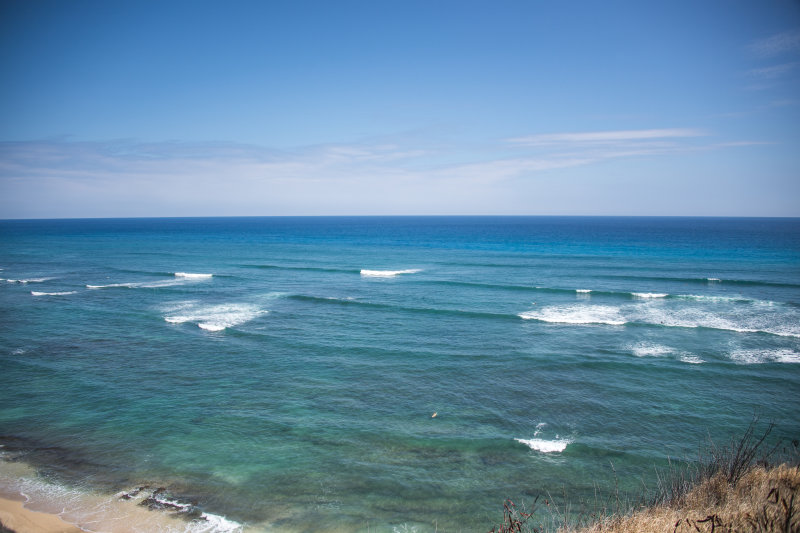 surfers in the water
