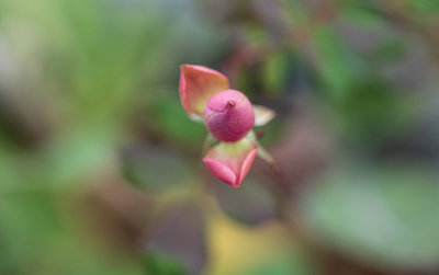 GC3_0273.jpg