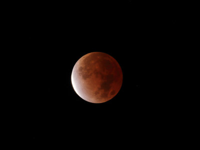 Lunar Eclipse Nov-19-2021_crop1_MG_9110.jpg