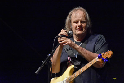 Walter trout at Swing 2022