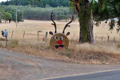 Christmas hay bale spotted on Myrrhee/Benalla Road.