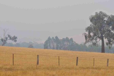 Smoke haze from bush fires in the high country.