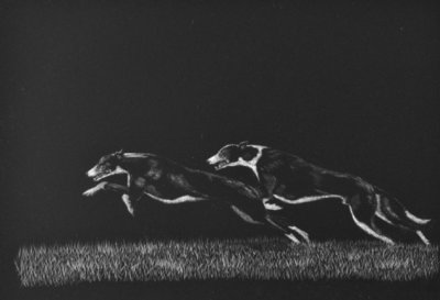 Greyhound fun run No. 1