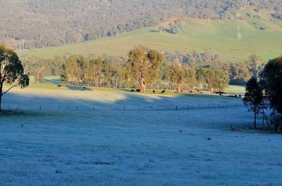 A frosty morning - view from our back boundary.
