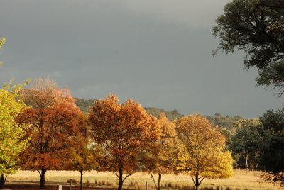 Sunshine before an approaching thunder storm.