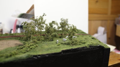 IMG_01825.JPG