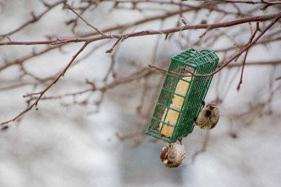 _DSC9120.jpg