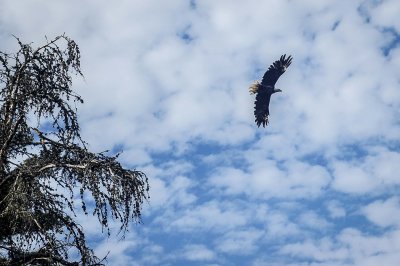 DSC_3894.jpg