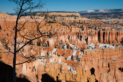 Vegas to Bryce: Shadows in the Snow
