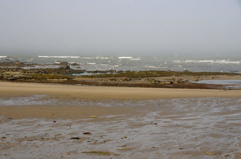 MO_IMGP5813-Ste Flavie.jpg