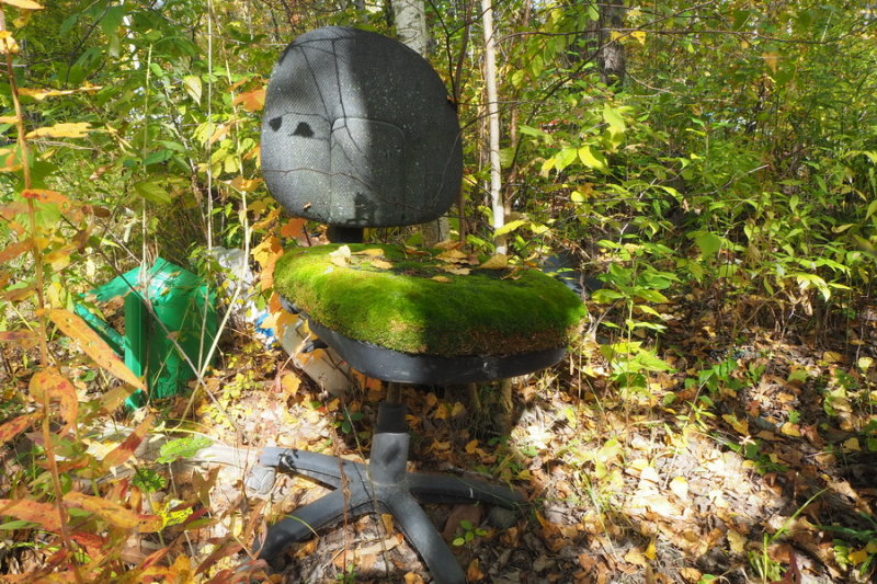 JC_PA090139.JPG.JPG