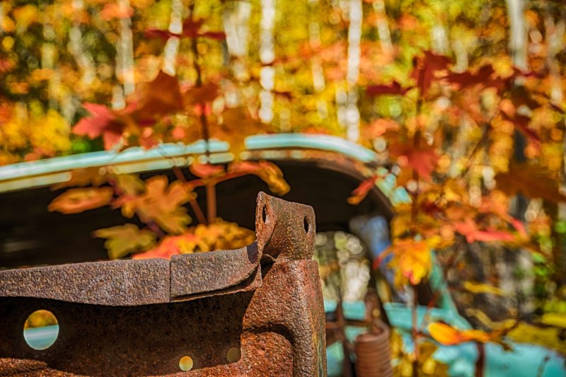 GT 2019-10-09 Colmor - Automne 2 .jpg