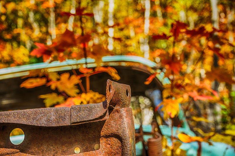 GT 2019-10-09 Colmor - Automne 3.jpg