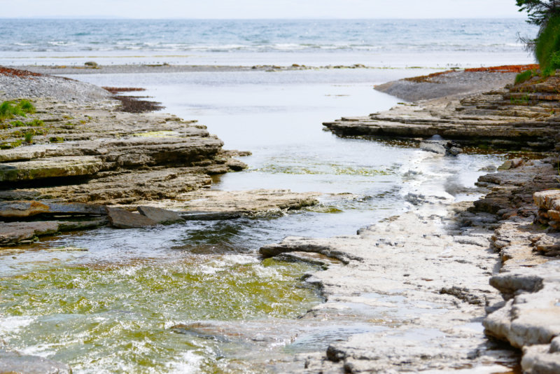 RA_ Vivre son cours le Anticosti 2022