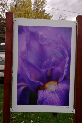 _PGG5550_DxO.jpg