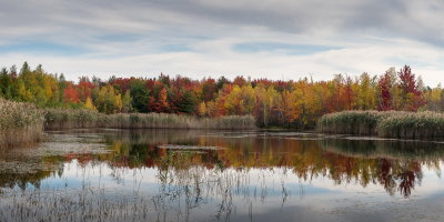 RM_191009-23-Etangs Antoine Charlebois - Ste-Julie.jpg