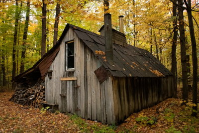 4-Cabane en automne